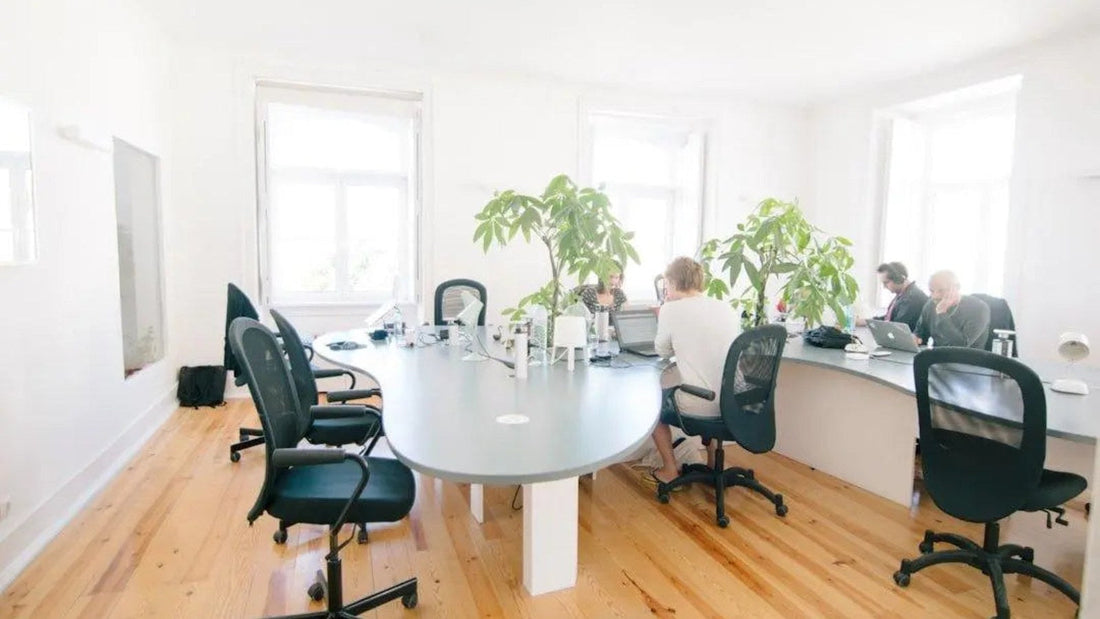 Transform Your Workspace: Enhance Your Posture and Alleviate Back Discomfort with Big & Tall Office Chairs Platinum-Level Office Chairs
