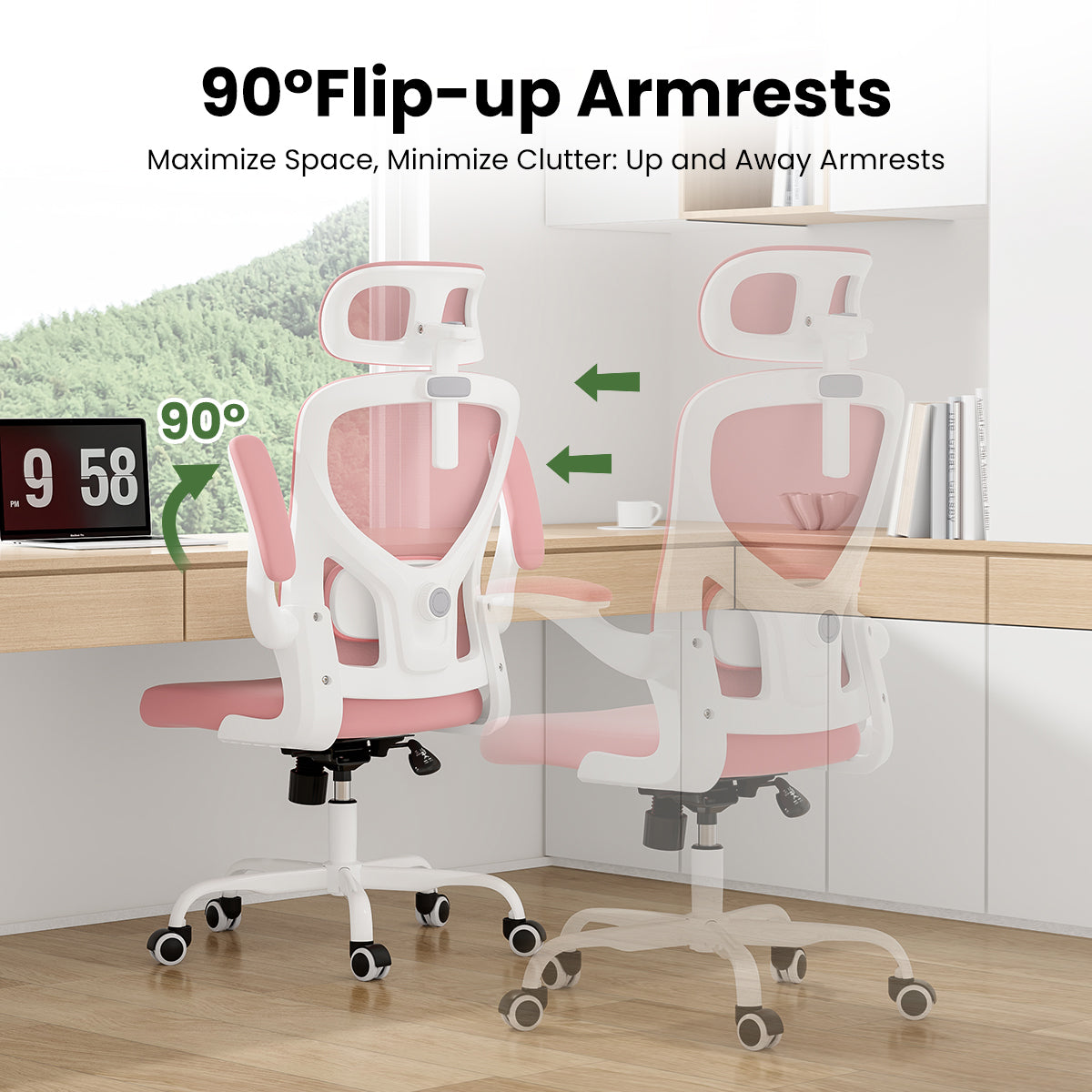 23753901