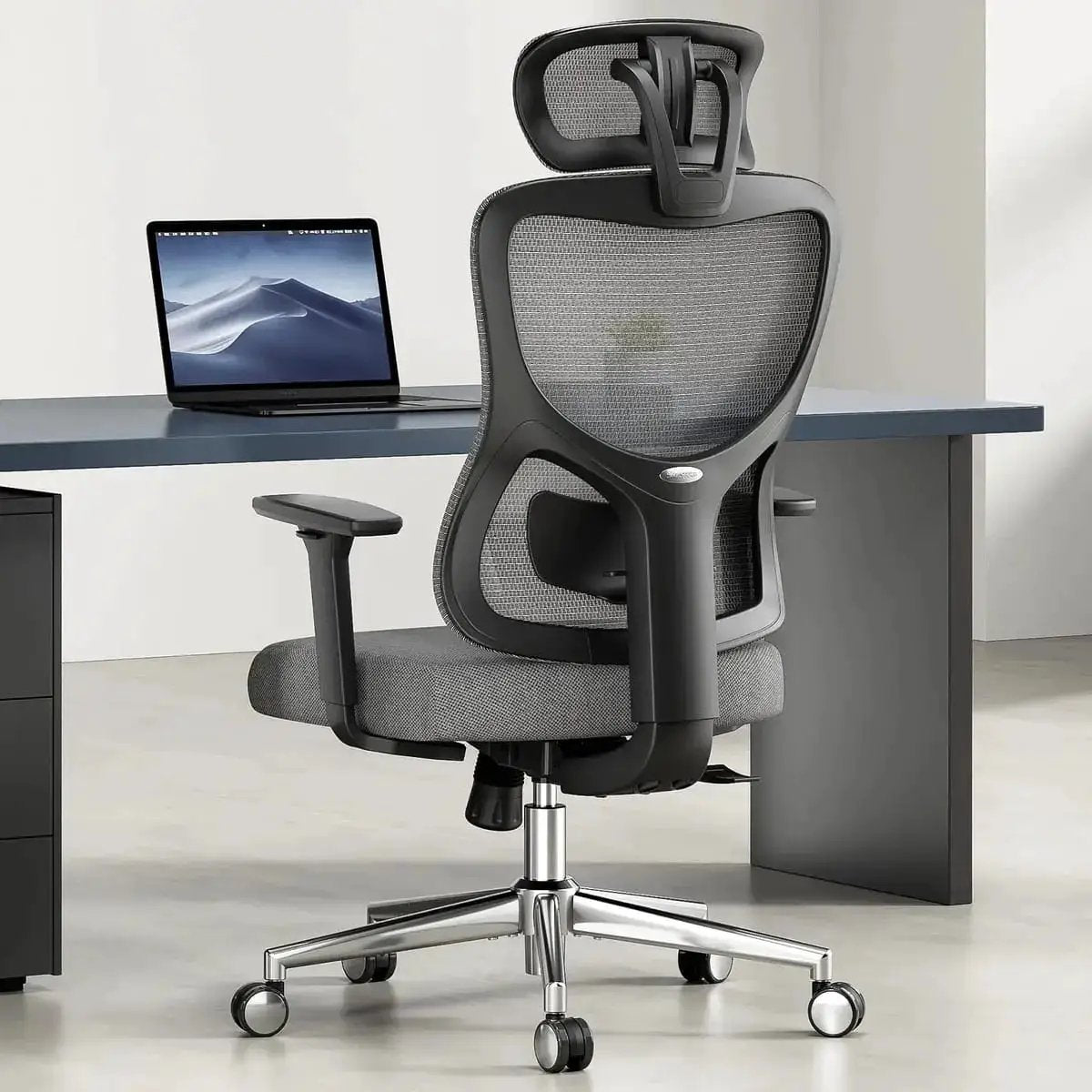 Ergonomic Mesh Office Chair with Adjustable Lumbar Support and - Platinum-Level Office Chairs
