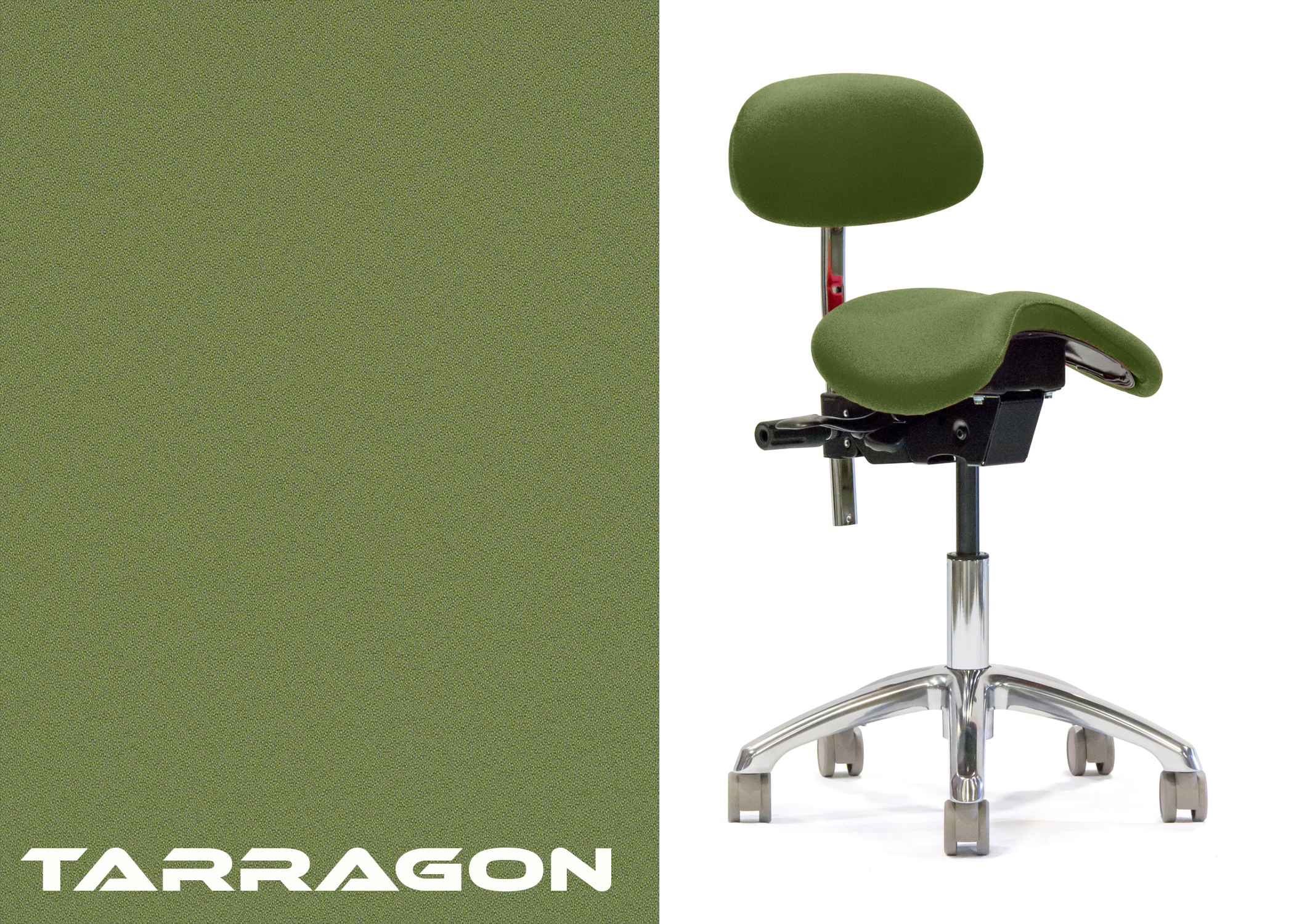 ErgoLab Advanced Ergonomic Saddle Chair with Backrest - Platinum-Level Office Chairs