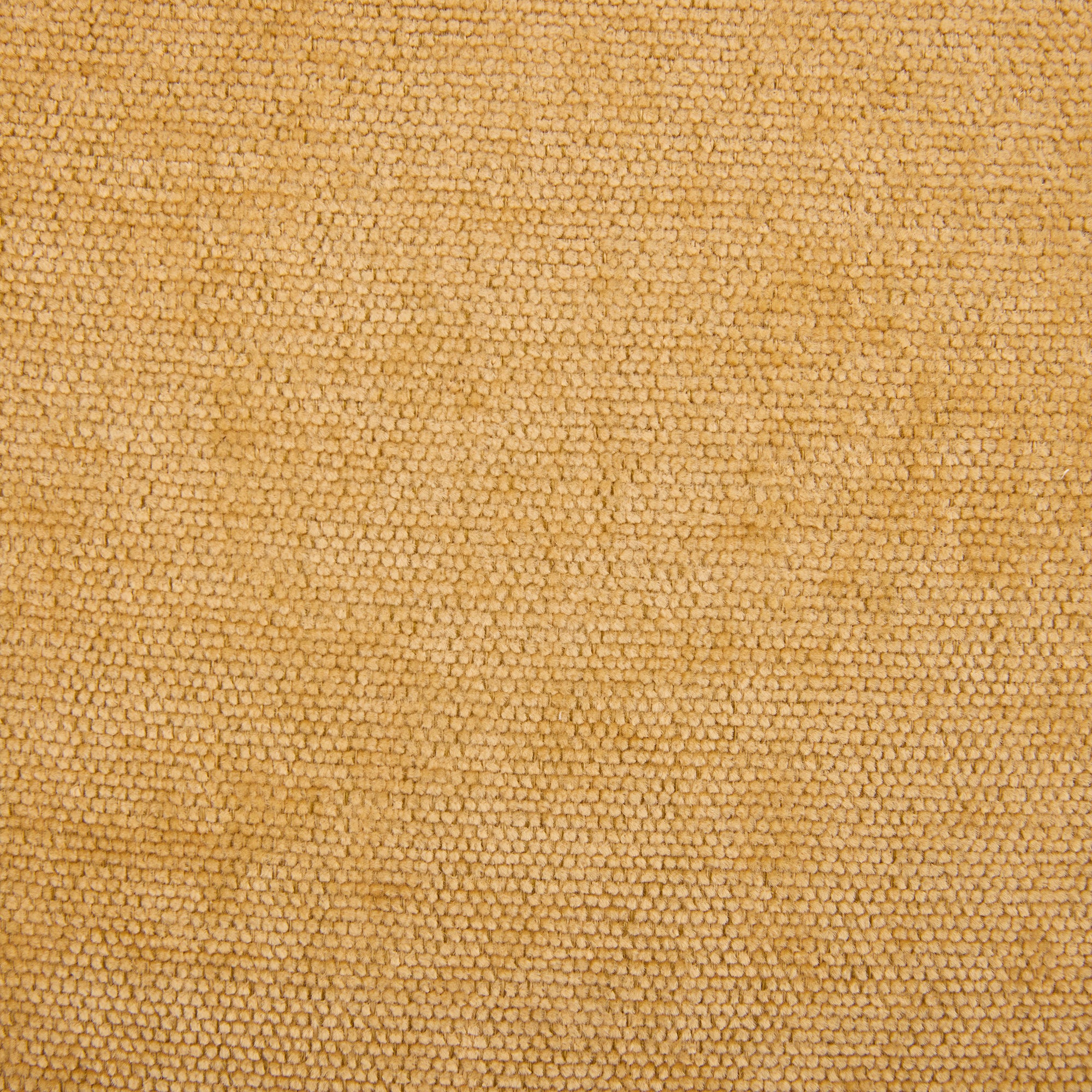 25685150