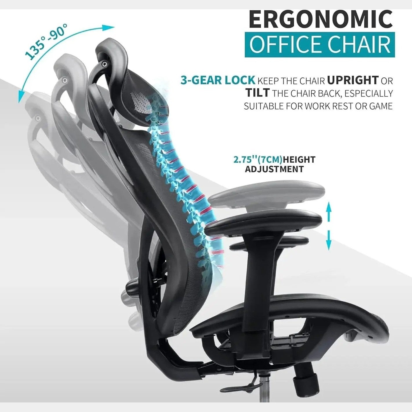 Ergonomic Mesh Office Chair Adjustable Lumbar Support Headrest by Doba