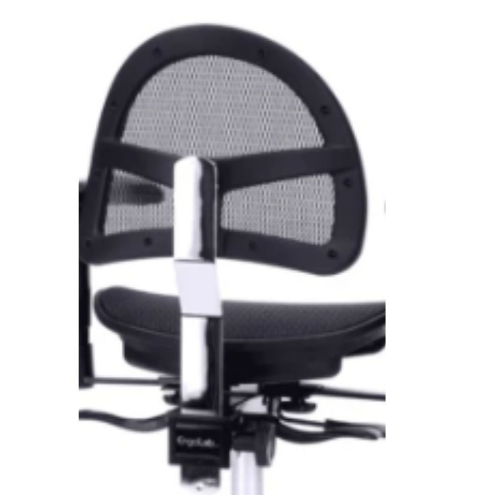ErgoLab Executive Lumbar Backrest for Stealth Chairs - Platinum-Level Office Chairs