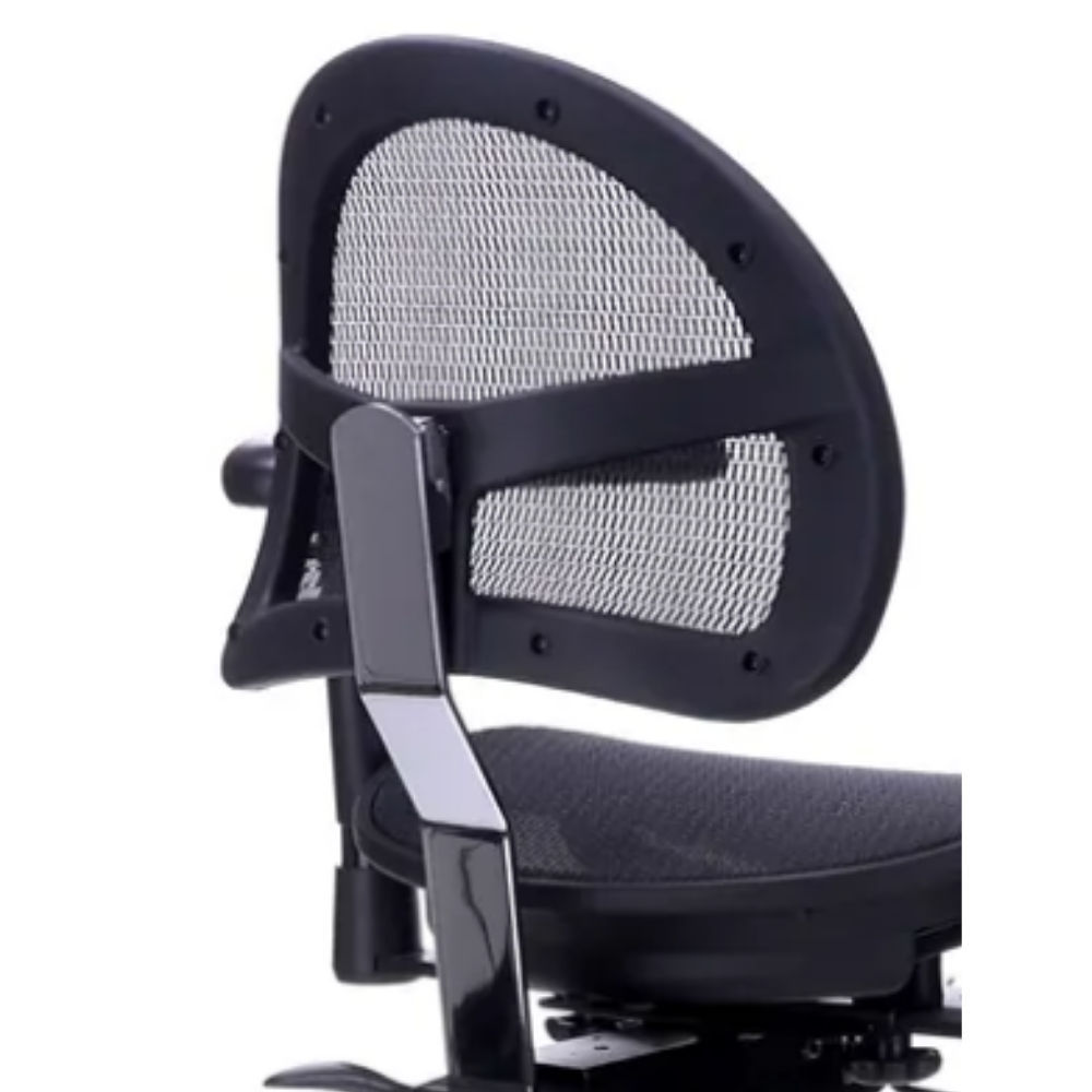 ErgoLab Executive Lumbar Backrest for Stealth Chairs - Platinum-Level Office Chairs