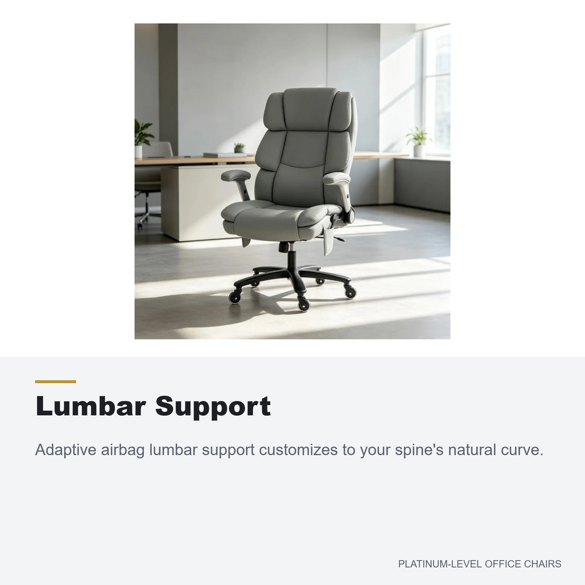 Home Office Chair with Airbag Lumbar Support, Light Gray