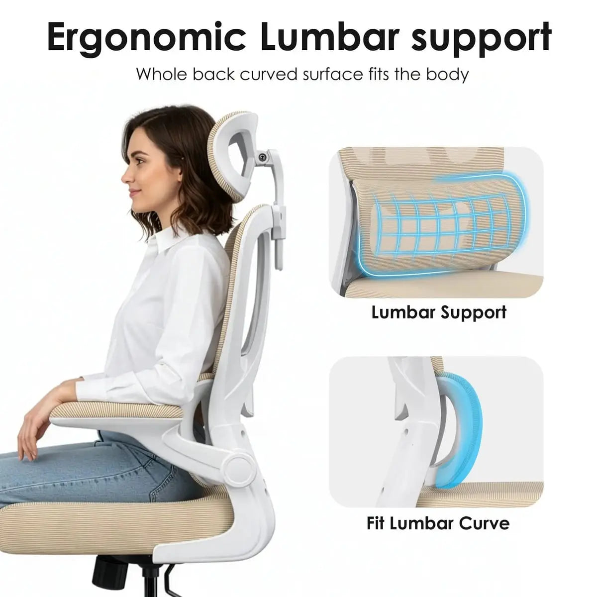 Premium Ergonomic Office Chair with Lumbar Support and High Back Platinum-Level Office Chairs