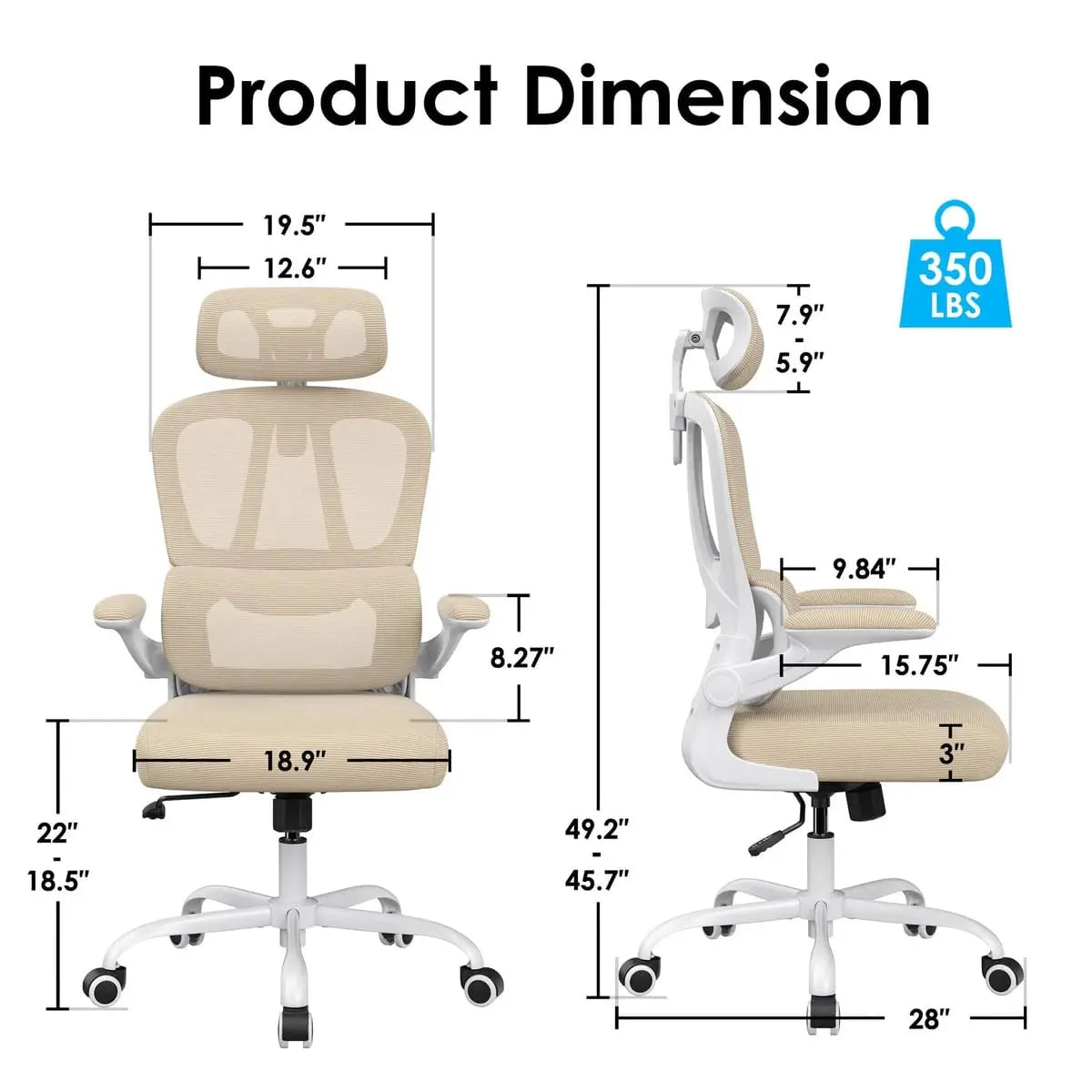 Premium Ergonomic Office Chair with Lumbar Support and High Back Platinum-Level Office Chairs