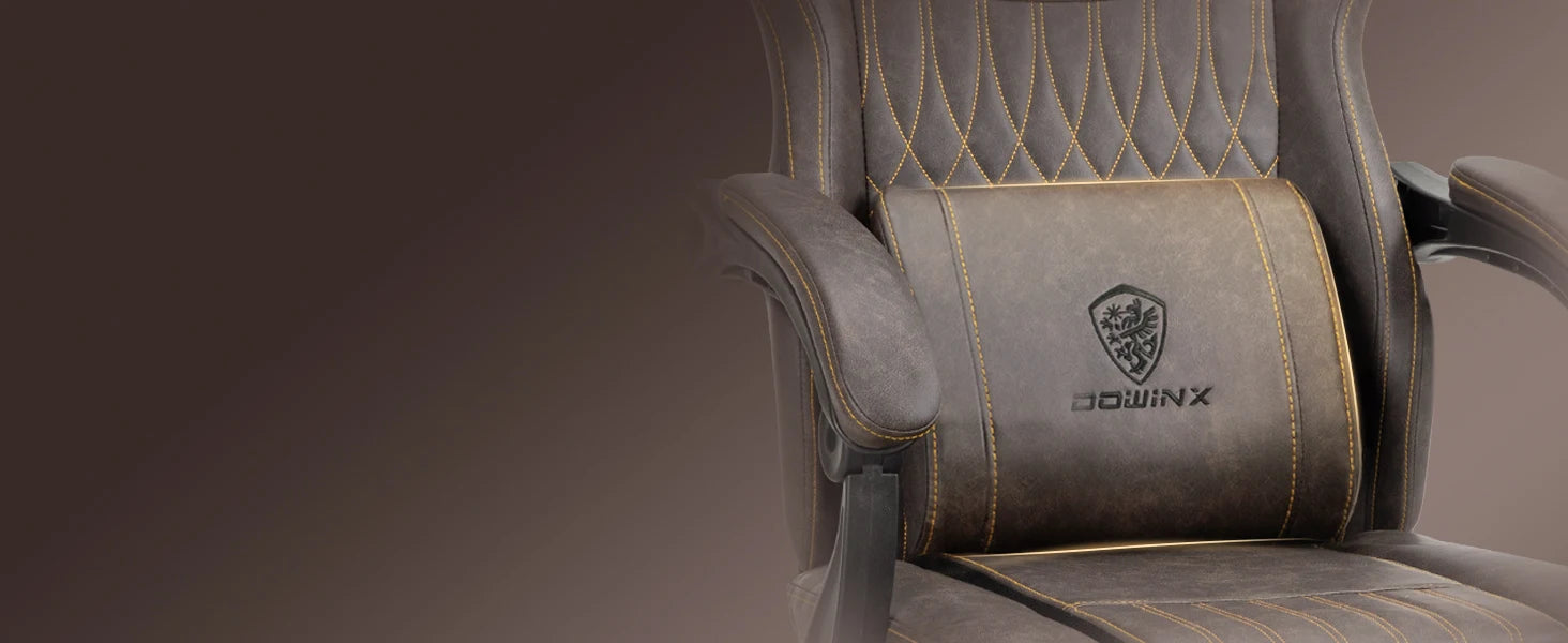 Dowinx Gaming Chair Ergonomic PU Leather with Lumbar Support and Cushion - Platinum-Level Office Chairs